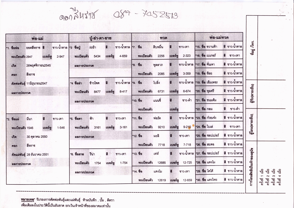 dogcert-2